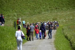 alprechtalmlauf-2016-0051