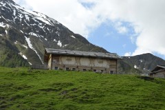 alprechtalmlauf-2016-0061