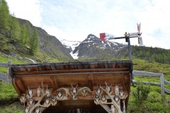 alprechtalmlauf-2016-0300