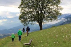 gaisinger-berglauf-2016-0002