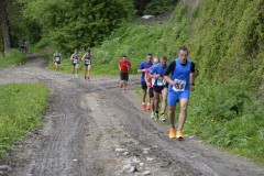 gaisinger-berglauf-2016-0645