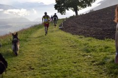 gaisinger-berglauf2018-324