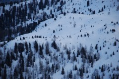 skialprace-ahrntal-2012-2-016