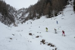 skialprace-2015-215