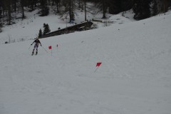 skialprace-2015-240