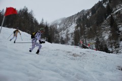 skialprace-2015-295
