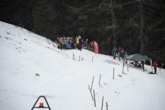 skialprace-2015-305