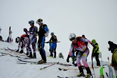 skialprace2017-193