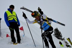 skialprace2017-359
