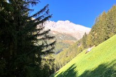 sunnsatrun-2023-147