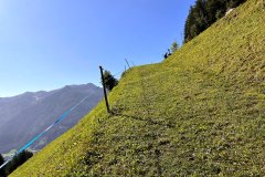sunnsatrun-2023-154