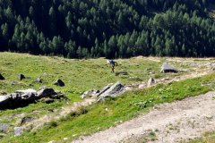 Tauerncross2018-050